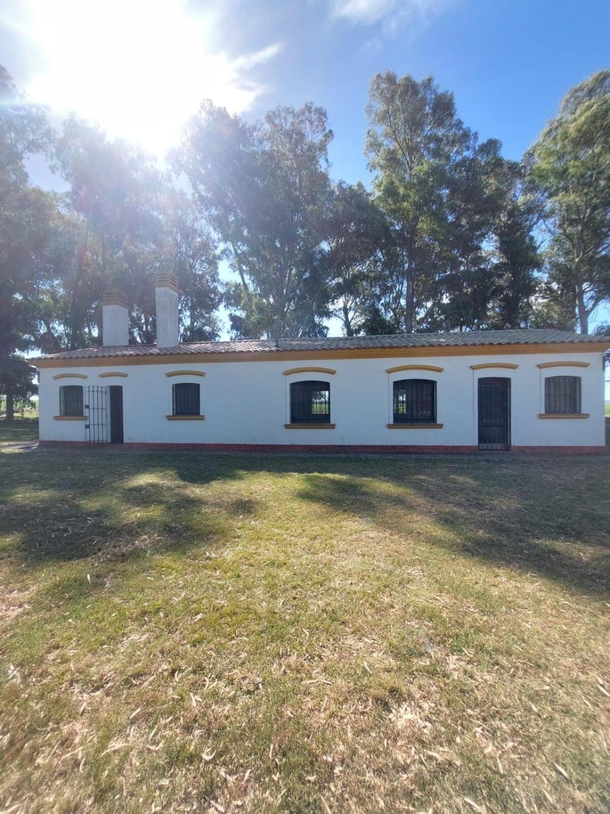 Standard Villa