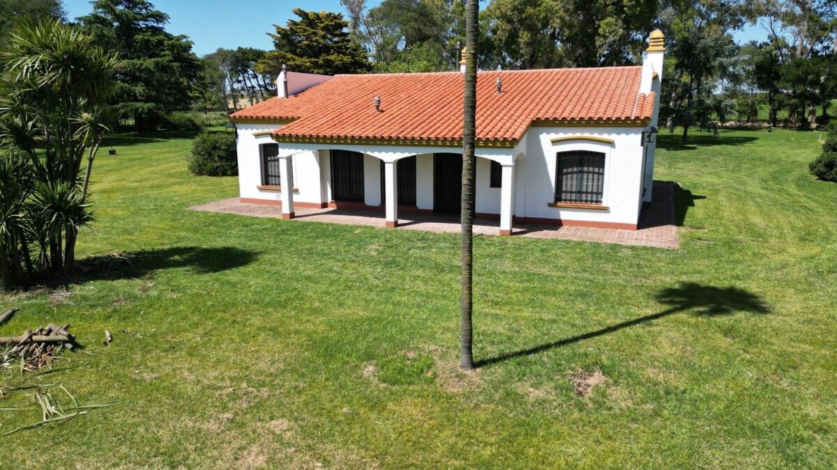 Standard Villa