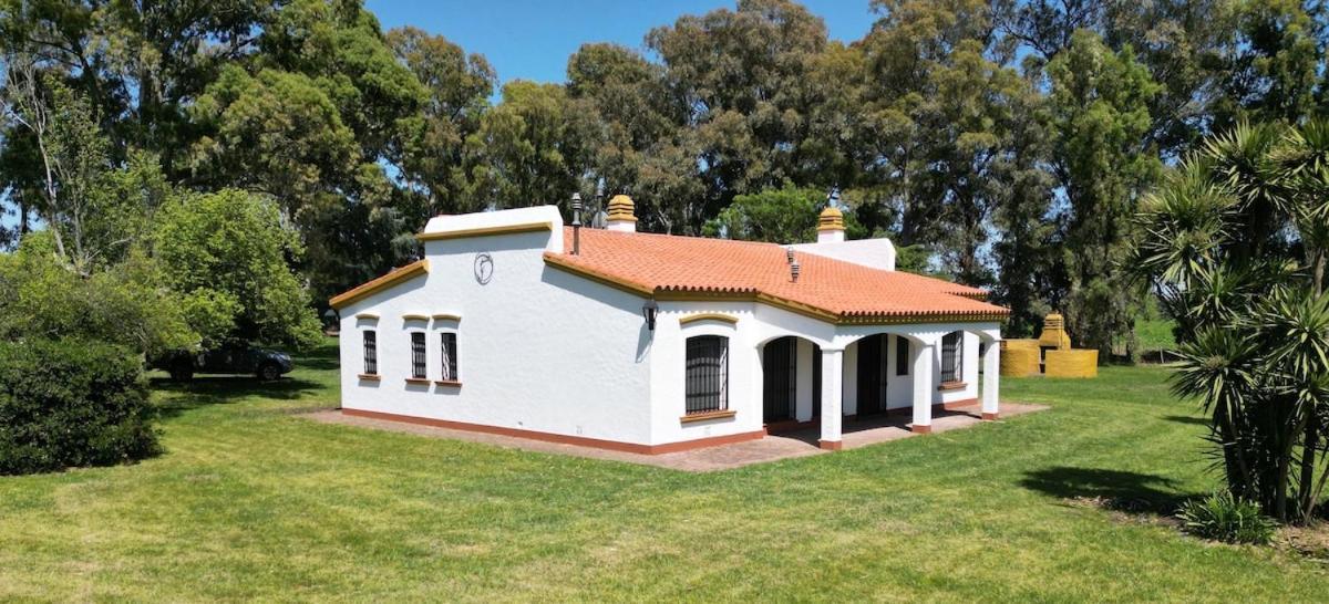 Standard Villa