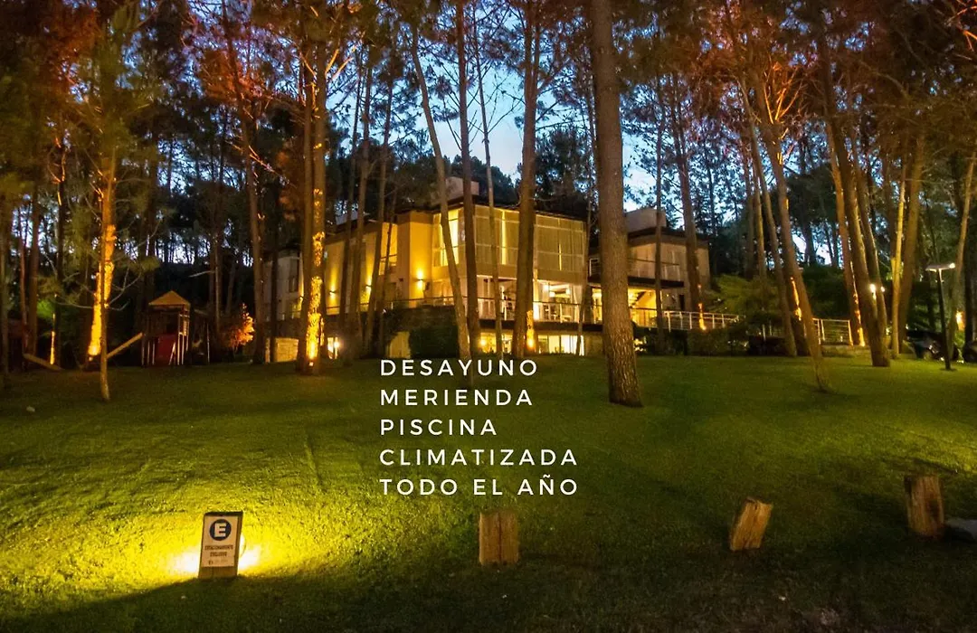 Sonidos Del Bosque-1