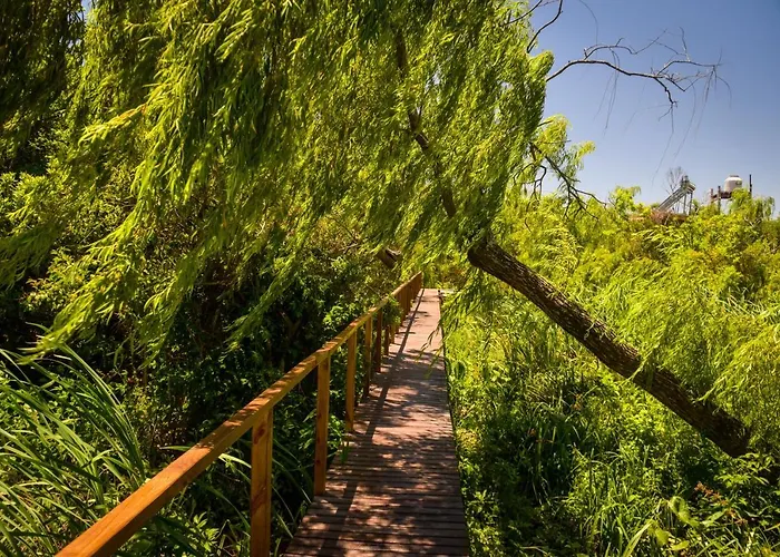 Eco Cabana Rio - Cabana Mirador