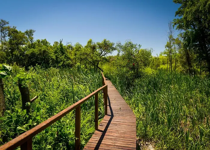 Eco Cabana Rio - Cabana Mirador