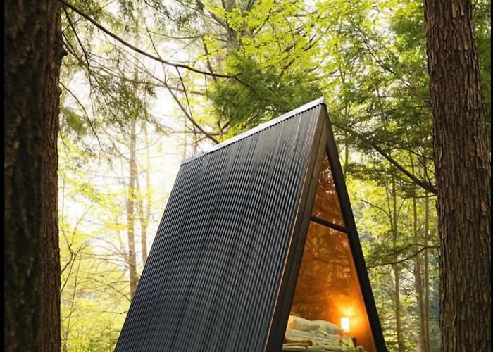 Forest Glam