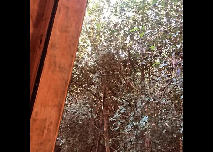 Forest Glam