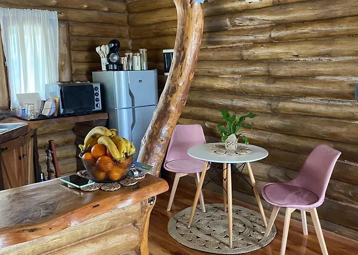 Cabana Octogonal Rodeada De Naturaleza
