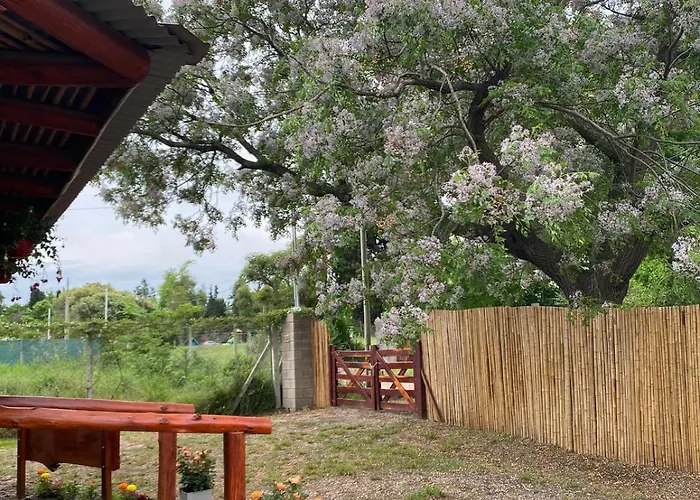 Cabana Octogonal Rodeada De Naturaleza