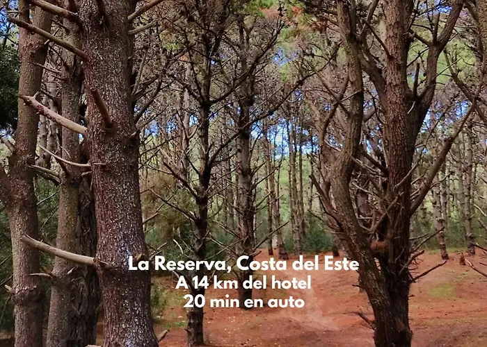 Hotel Calimera