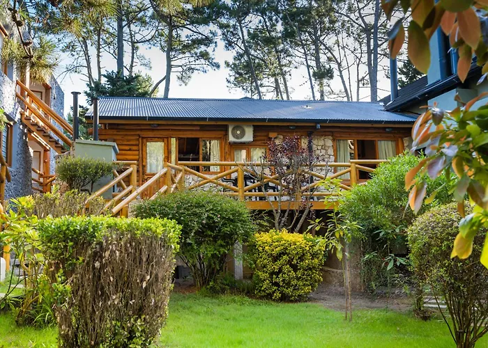 Cabañas Mapuche