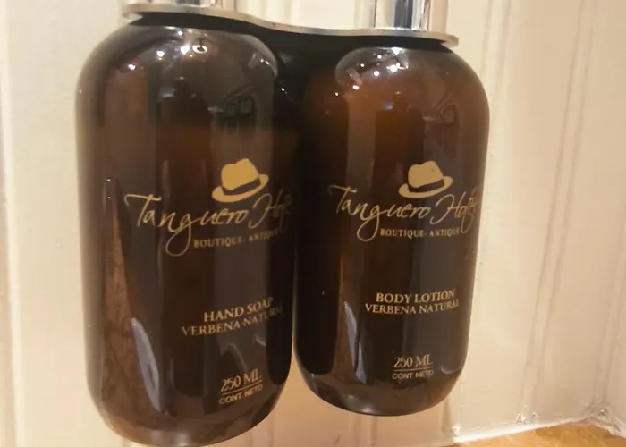 Tanguero Hotel Boutique Antique