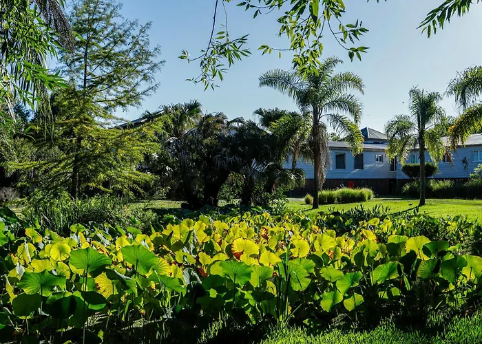 Delta Eco Hotel